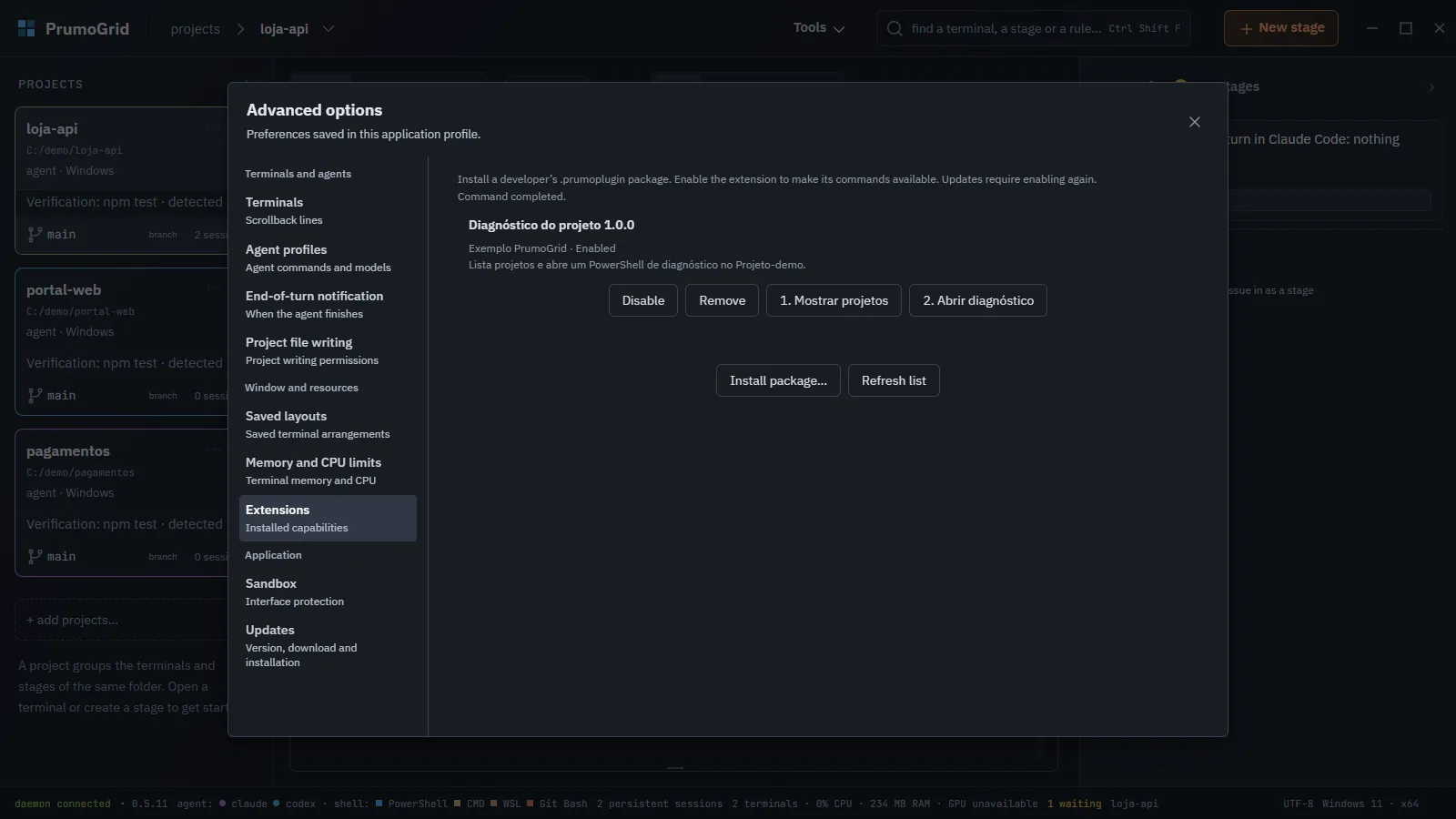 Extensions section with an enabled plugin and its two command buttons.