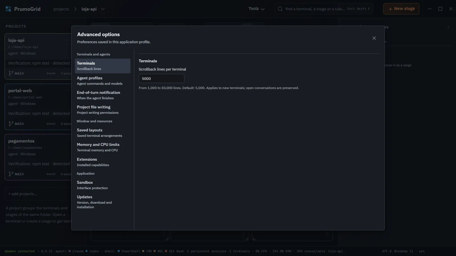 Advanced options with the three groups in the side menu and the Terminals section open.