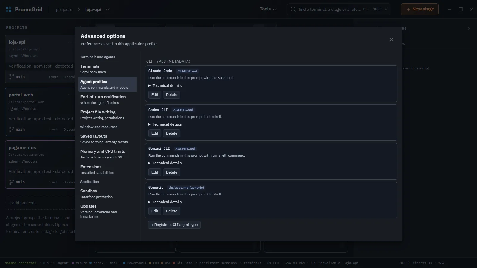 Advanced options in the Agent profiles section, with Claude Code, Codex CLI, Gemini CLI and Generic.